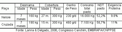 Figura 3