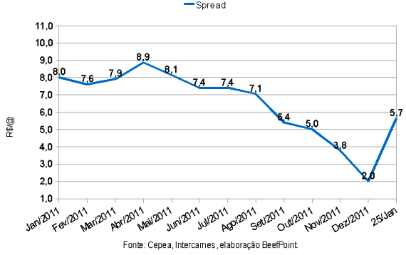 grafico 04 26012012