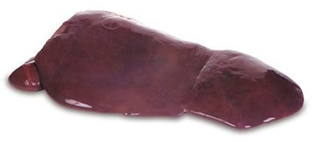 figado