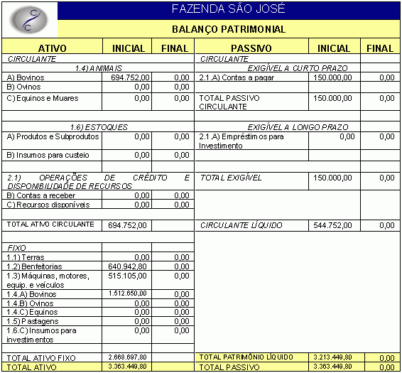 Balanço anual empresa Balanço anual empresa